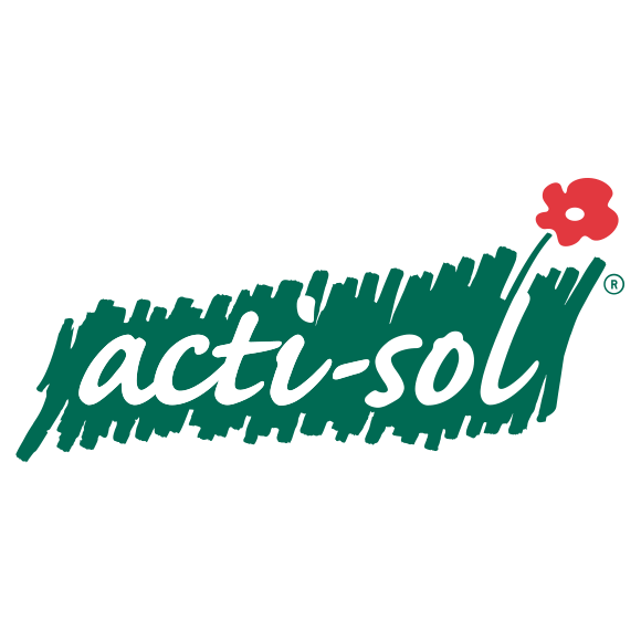 logo actisol emploi